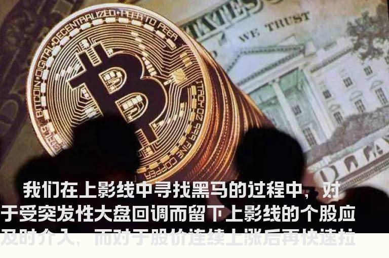寻找规律 从下影线中找黑马
