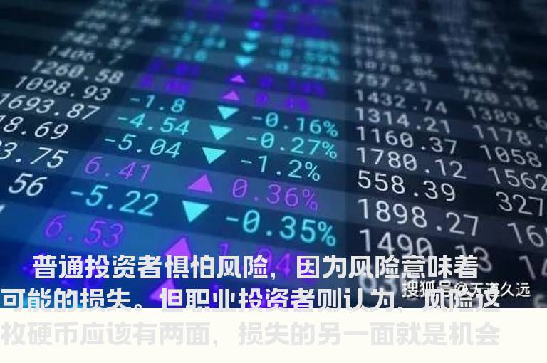 有技巧的风险承受者