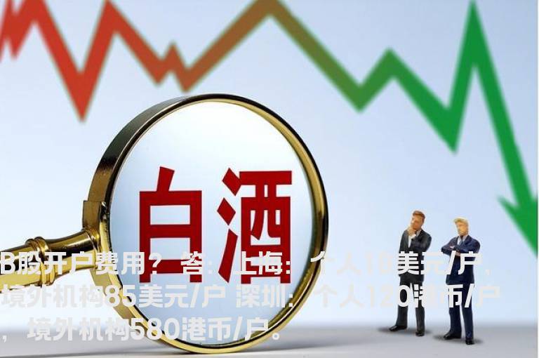 股市基础知识：B股开户费用？