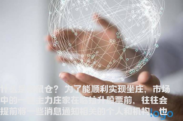 什么是老鼠仓？