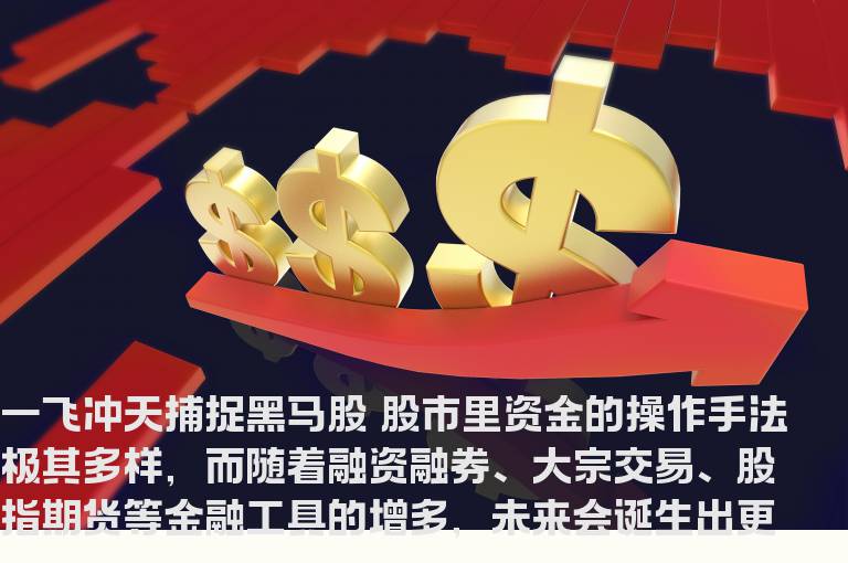 一飞冲天捕捉黑马股