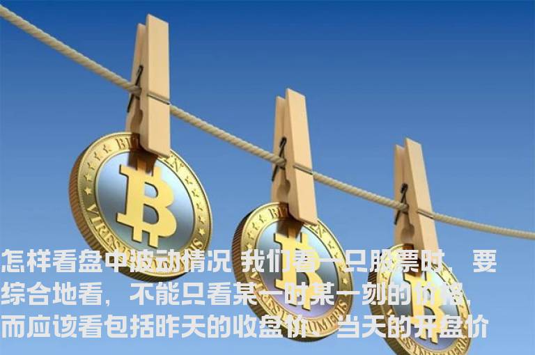 怎样看盘中波动情况