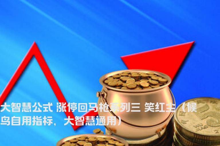 大智慧公式 涨停回马枪系列三 笑红尘（候鸟自用指标，大智慧通用）