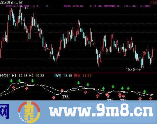 庄影初显指标 (源码)