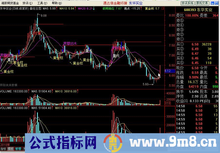 量柱主图（量托、前期高位、缩倍柱、百日低量、倍量柱