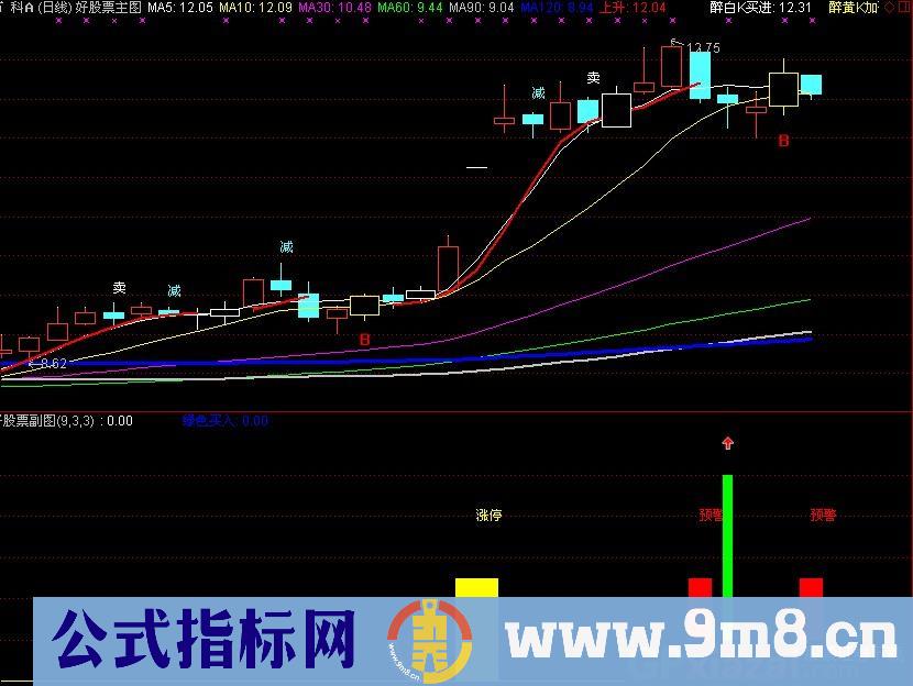 涨停预警买进 源码