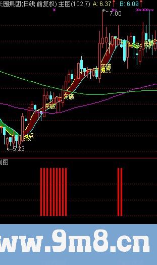 通达信黑马路道指标公式