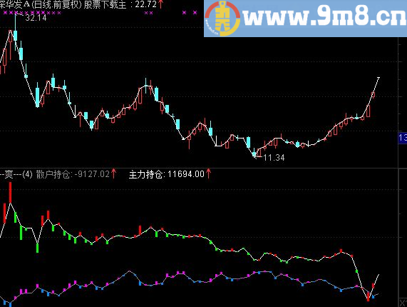 通达信持仓状态（散户/主力）副图源码