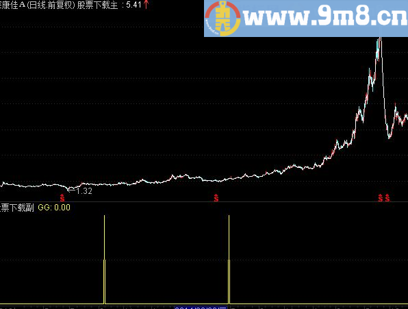 红花惊现让你发现意外之美