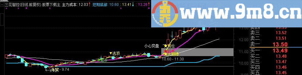 通达信青松红牛主图源码副图