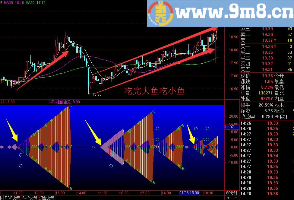 年年有鱼 不求全鱼 但求鱼身 通达信幅图指标 无未来