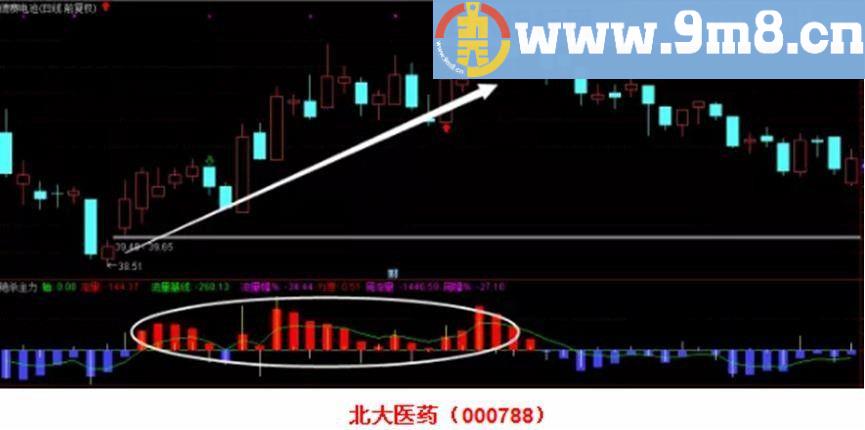 源码分享 绝杀主力 通达信副图指标