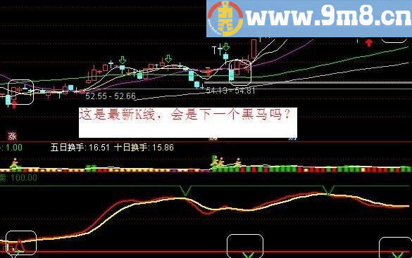 黑马的摇篮 指标 副图 贴图 无未来