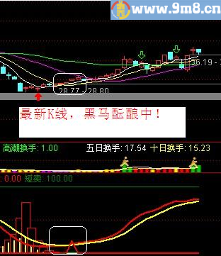黑马的摇篮 指标 副图 贴图 无未来
