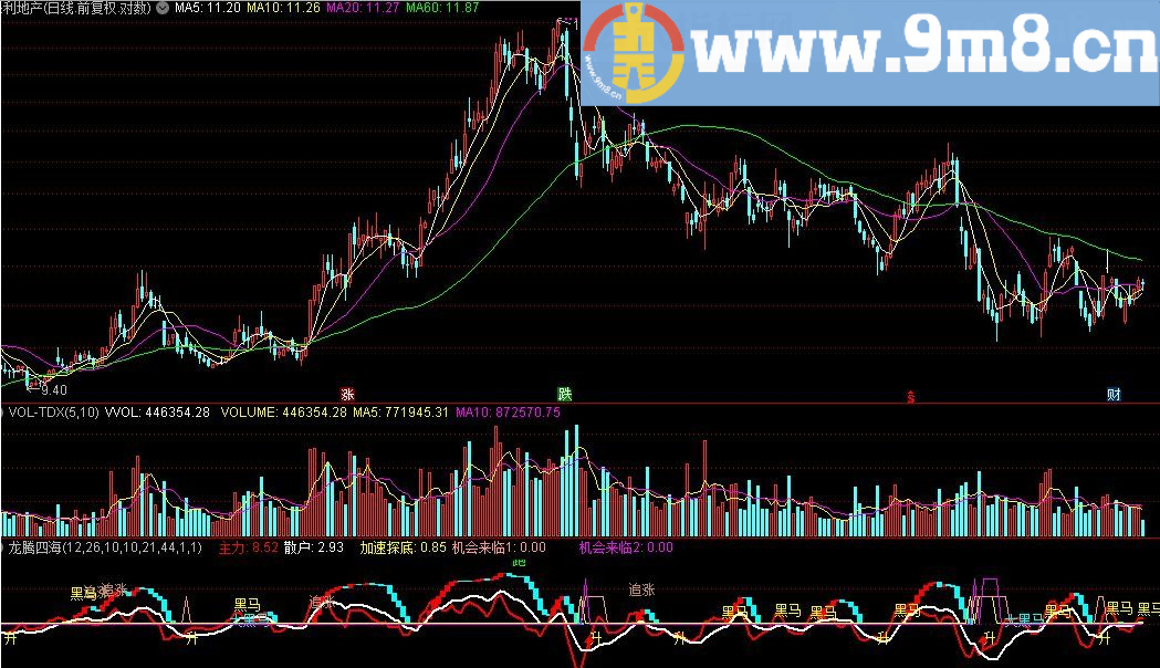 龙腾四海：黑马线指标 通达信指标 源码 贴图