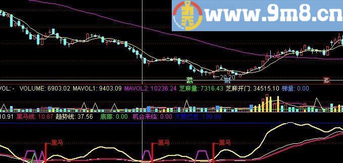 金牌黑马 追涨黑马线 通达信副图指标 源码 贴图