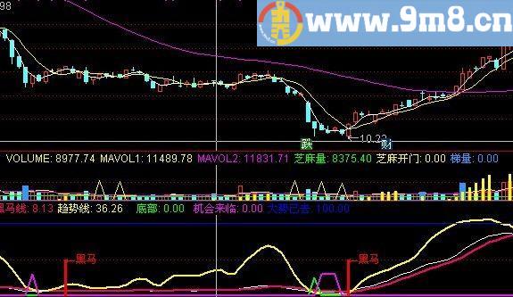 金牌黑马 追涨黑马线 通达信副图指标 源码 贴图