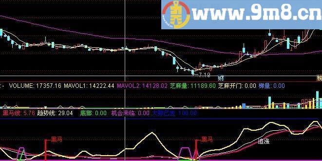 金牌黑马 追涨黑马线 通达信副图指标 源码 贴图