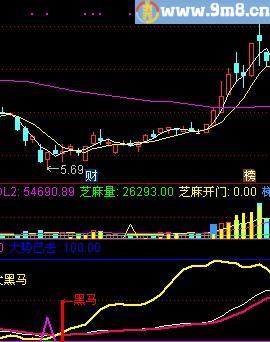 金牌黑马 追涨黑马线 通达信副图指标 源码 贴图