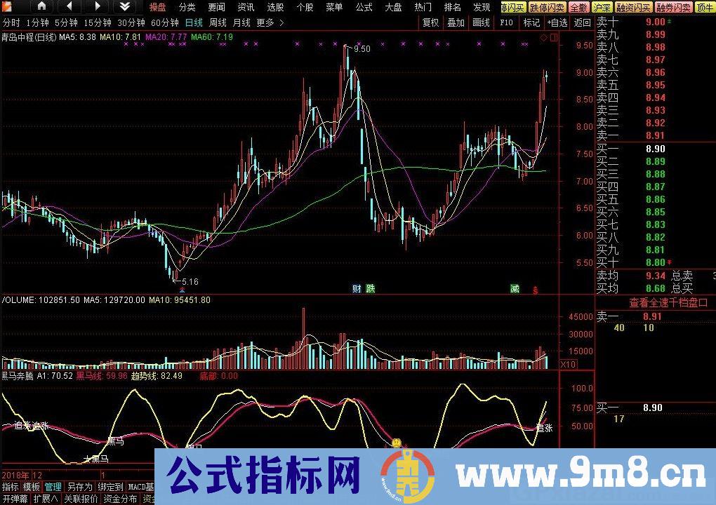黑马奔腾 通达信副图指标 源码 贴图