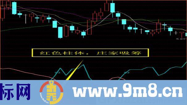 捕捉中长线翻番大牛股 庄影追踪 通达信副图指标 源码 贴图