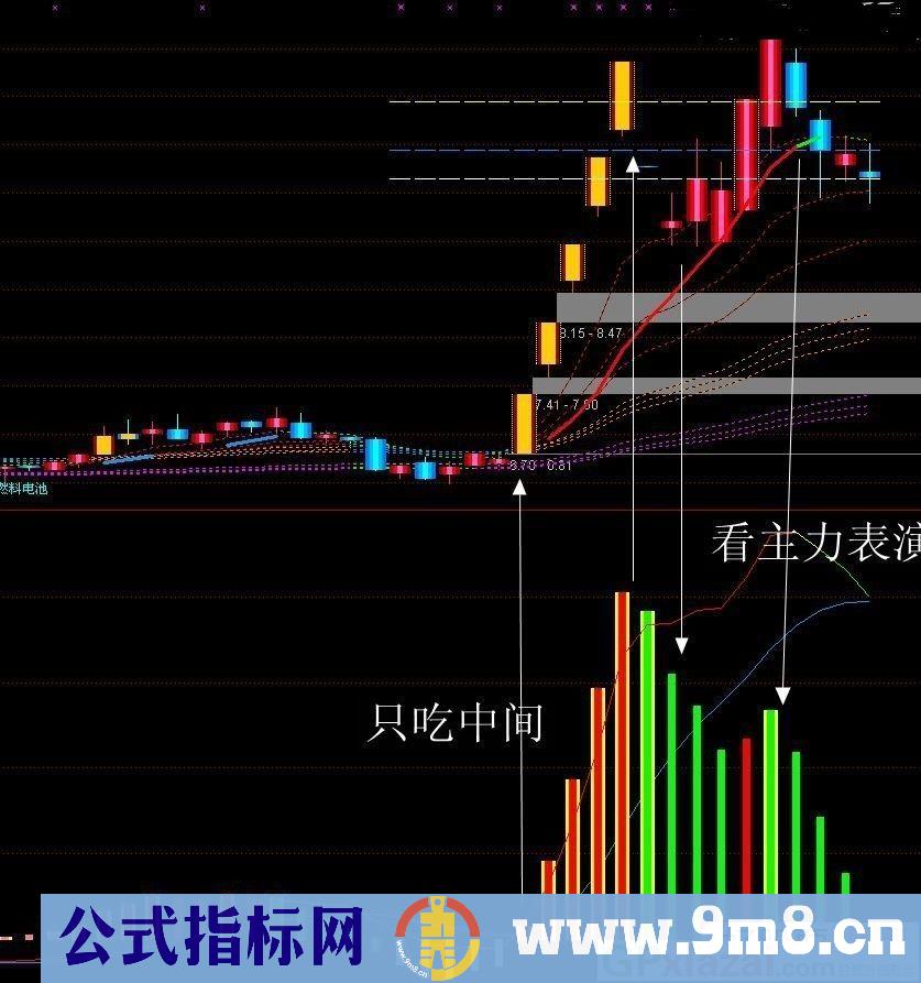 只做强势股 洞察主力 跟随主力 只吃中间 通达信副图指标 源码 贴图 无未来