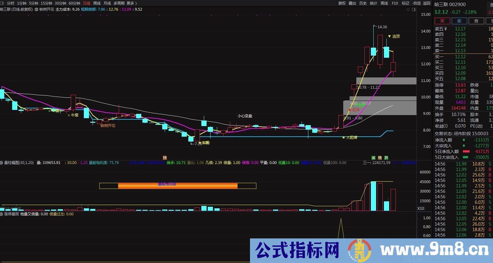 必赚指标 涨停基因 通达信副图指标 源码 贴图