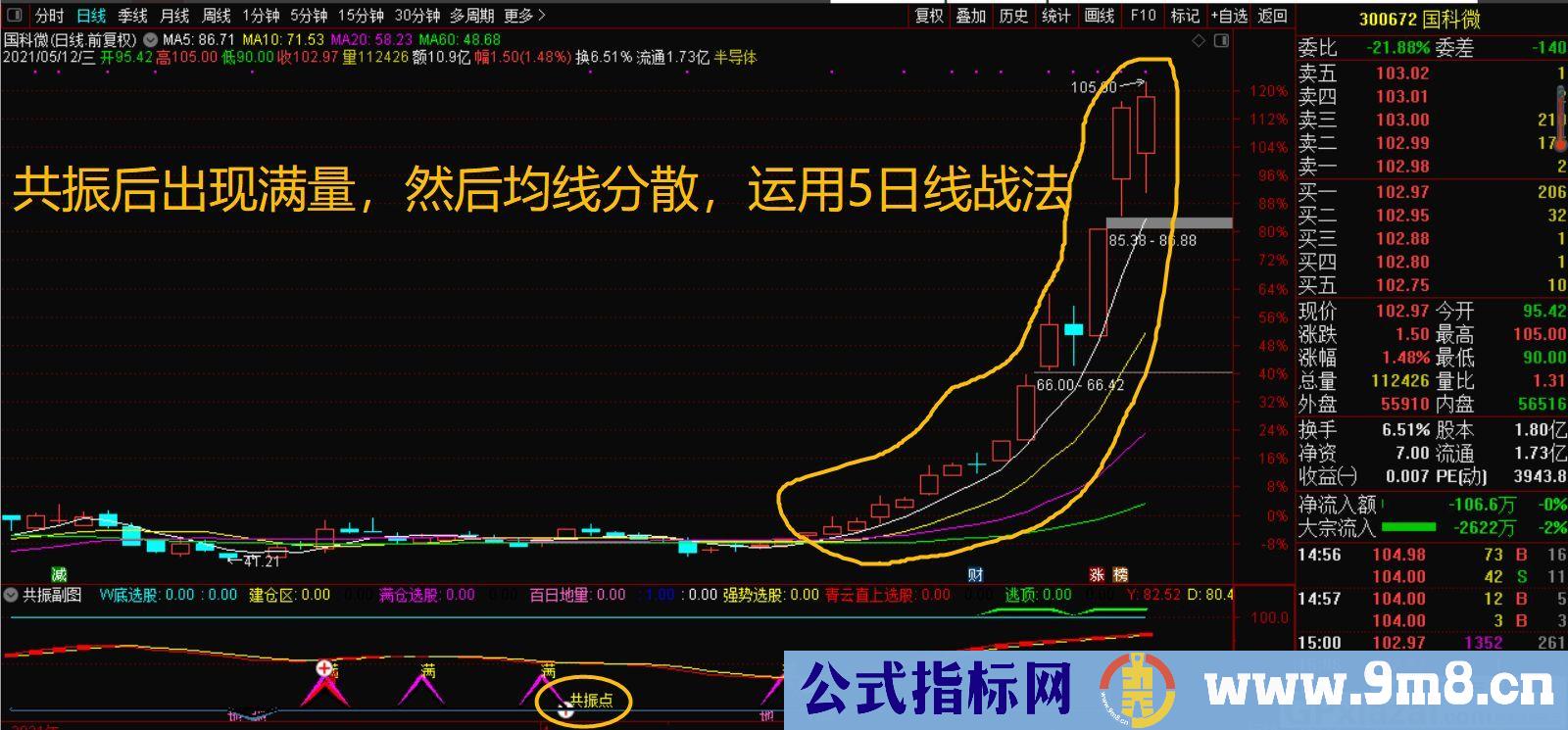 共振 满量 5日线战法 通达信指标 源码 贴图 使用说明