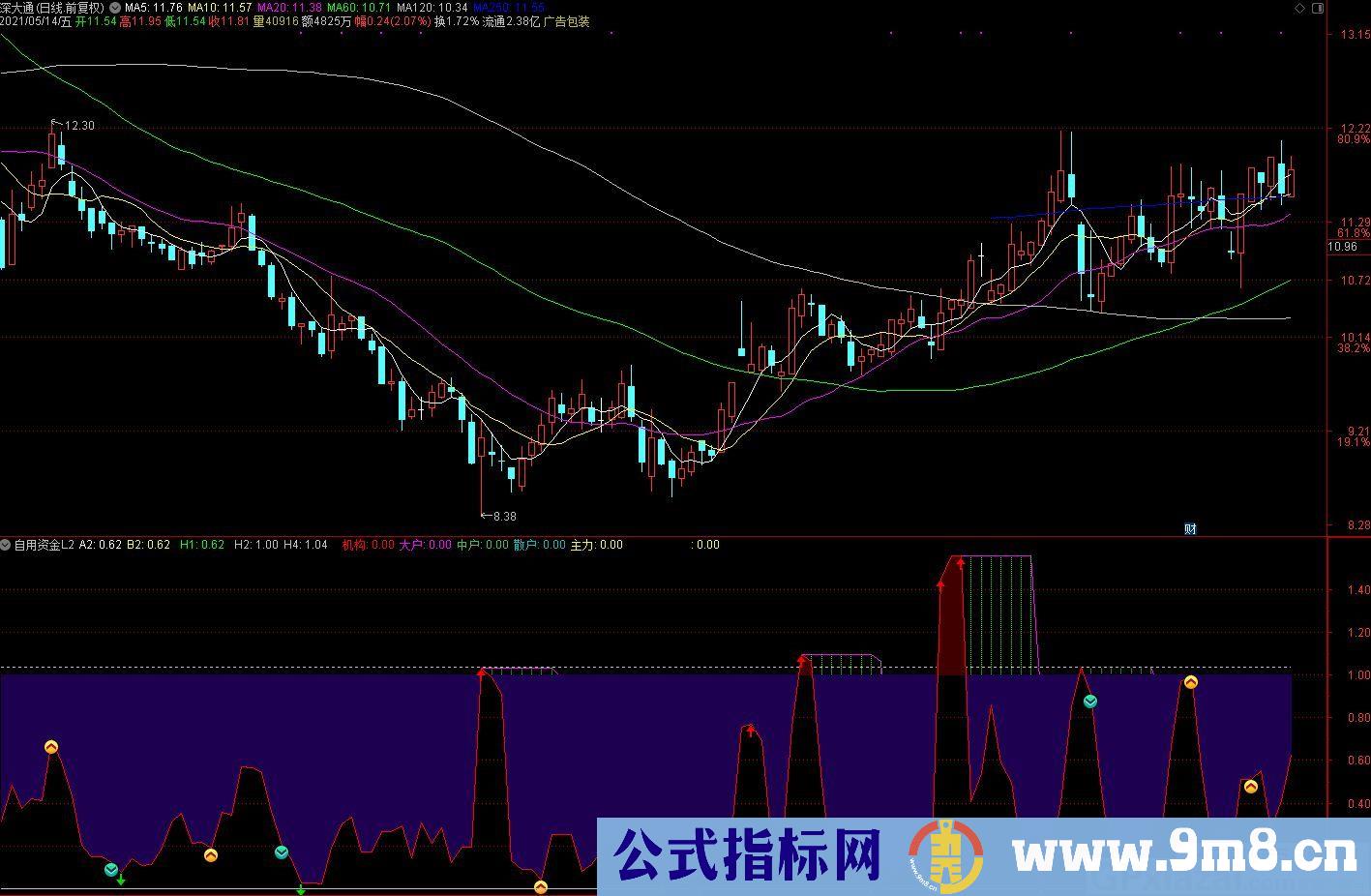 资金L2 通达信副图指标 源码 贴图