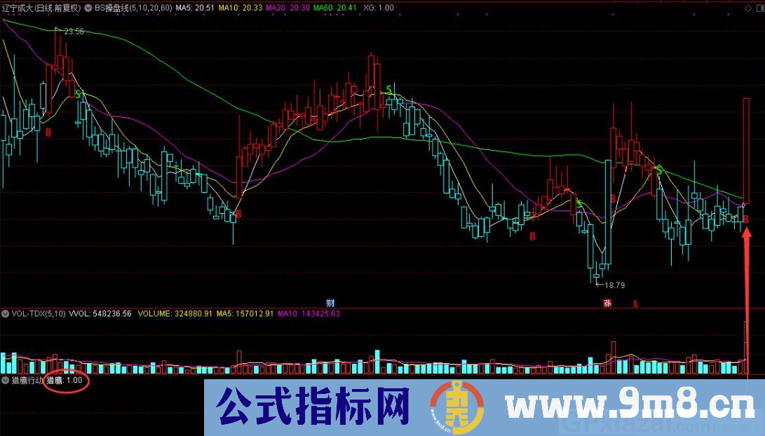 通达信猎鹰行动副图/选股指标 短中线指标 九毛八公式指标网
