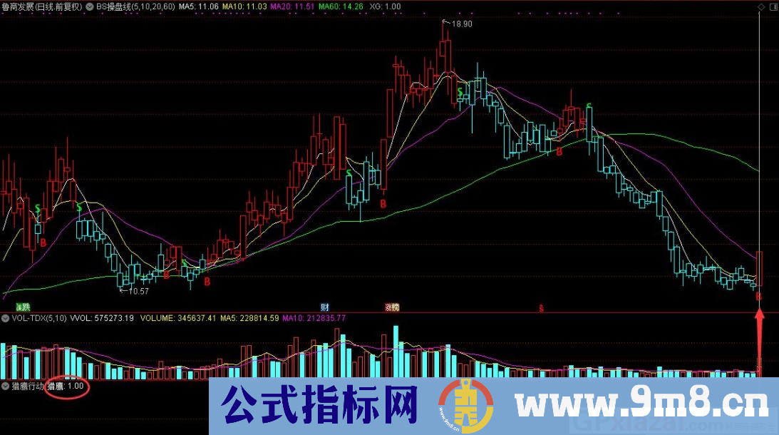 通达信猎鹰行动副图/选股指标 源码 贴图