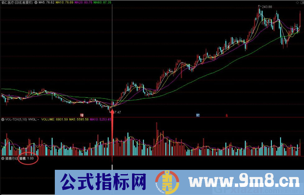 通达信猎鹰行动副图/选股指标 源码 贴图
