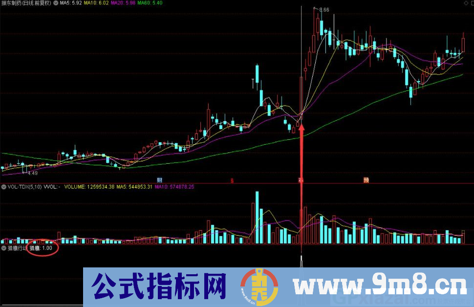 通达信猎鹰行动副图/选股指标 源码 贴图