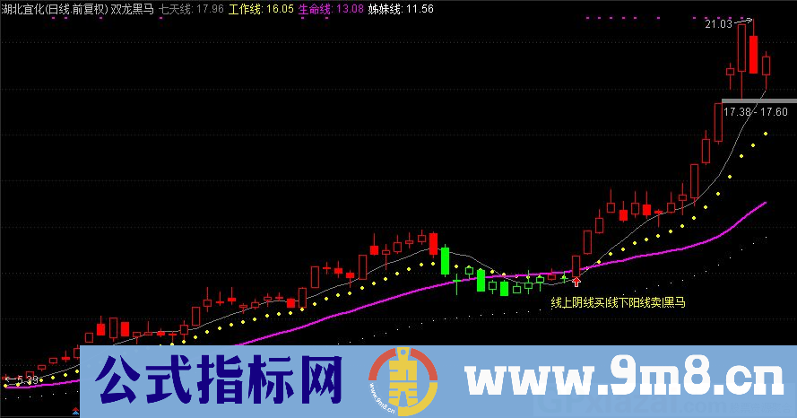 通达信双龙黑马主图指标 源码 贴图