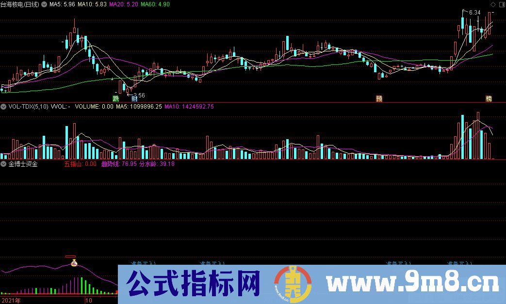 通达信金博士资金副图指标 源码 贴图