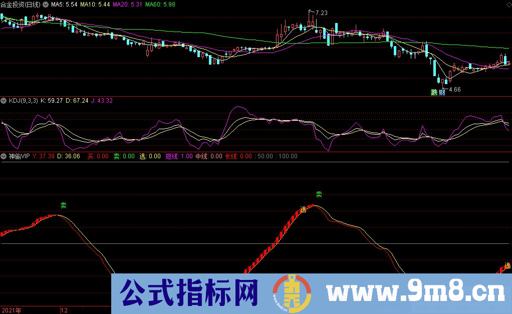通达信神偷VIP副图指标 长中短线指标 源码 贴图