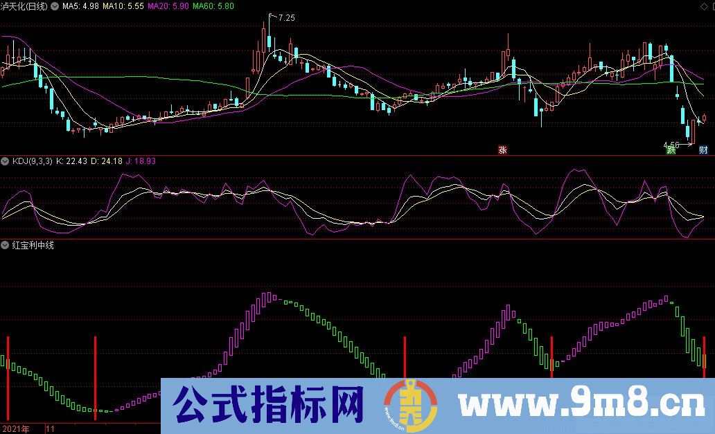 通达信红宝利中线副图指标 源码 贴图