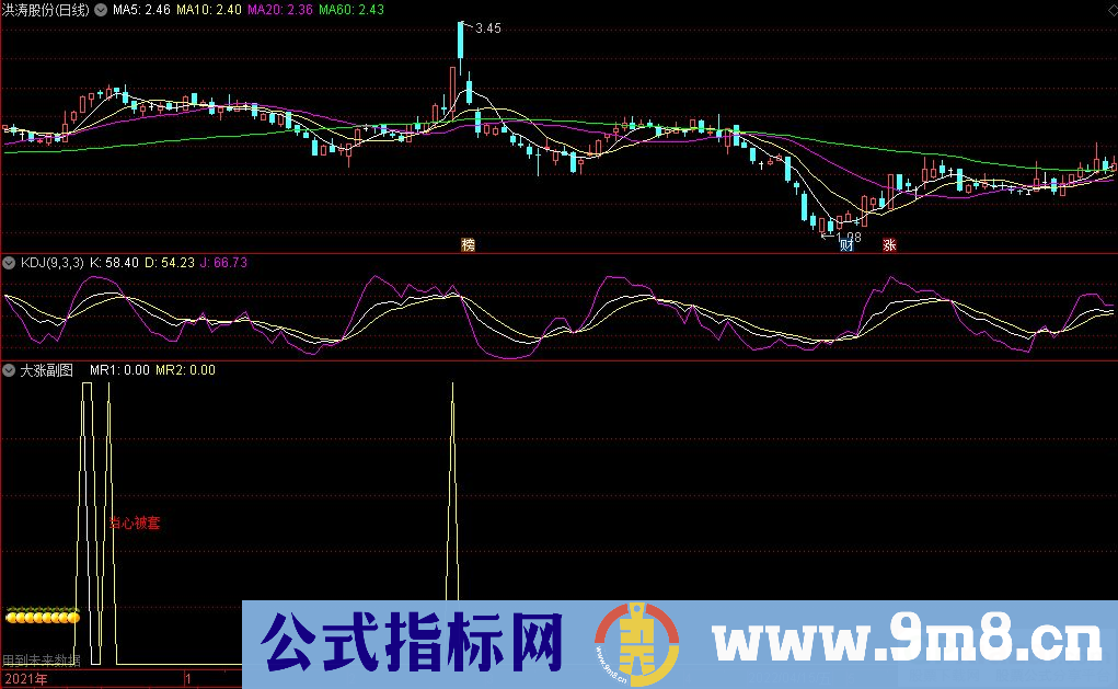 通达信大涨副图指标 源码 贴图 有未来函数