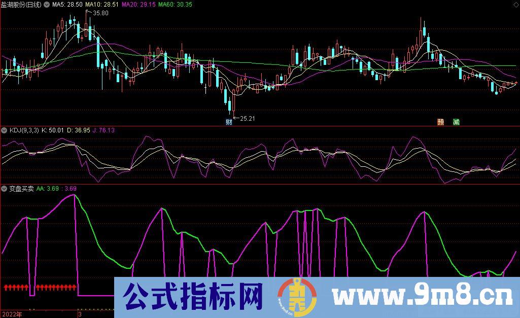 通达信变盘买卖副图指标 源码 贴图