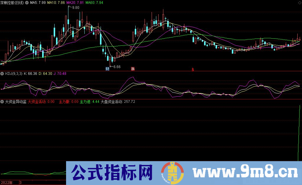 通达信大资金异动监控副图指标 高胜率 源码 贴图