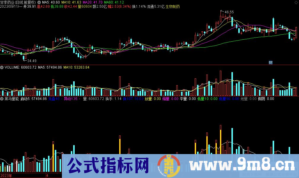 通达信黑马量能副图指标 源码 贴图
