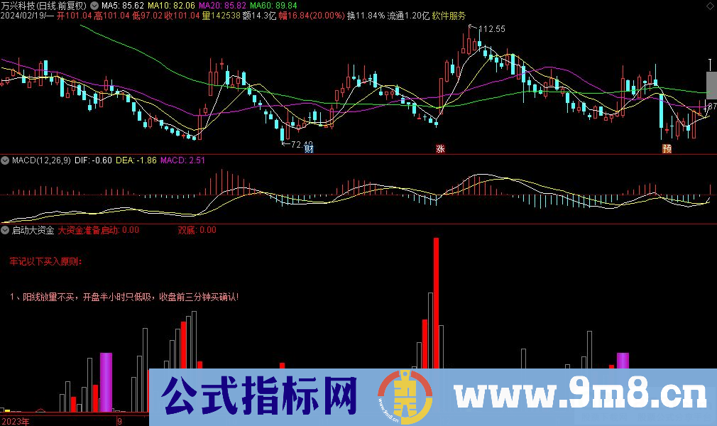 通达信启动大资金副图指标 源码 贴图