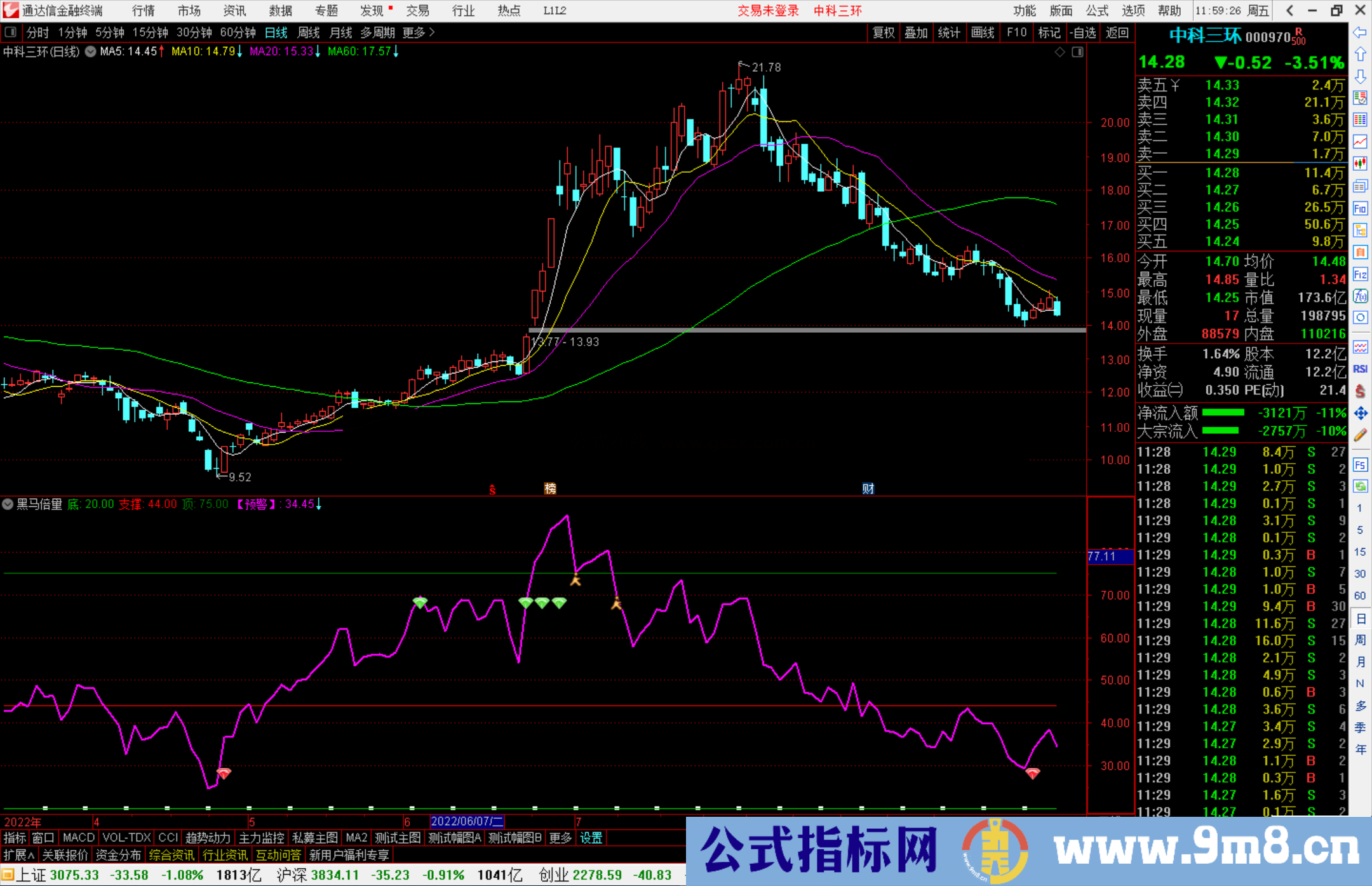 通达信黑马倍量指标公式源码副图