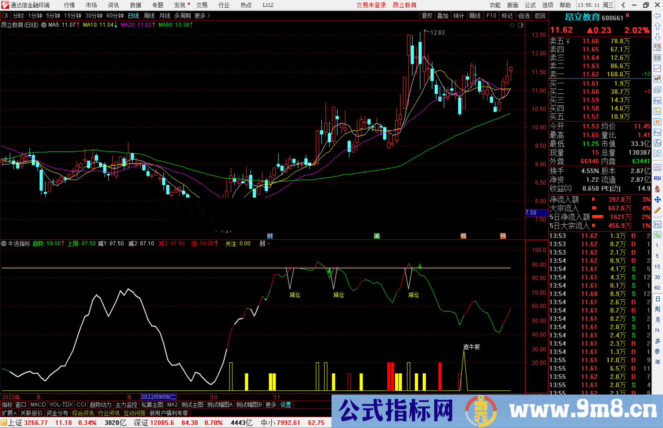 通达信牛选指标公式源码副图