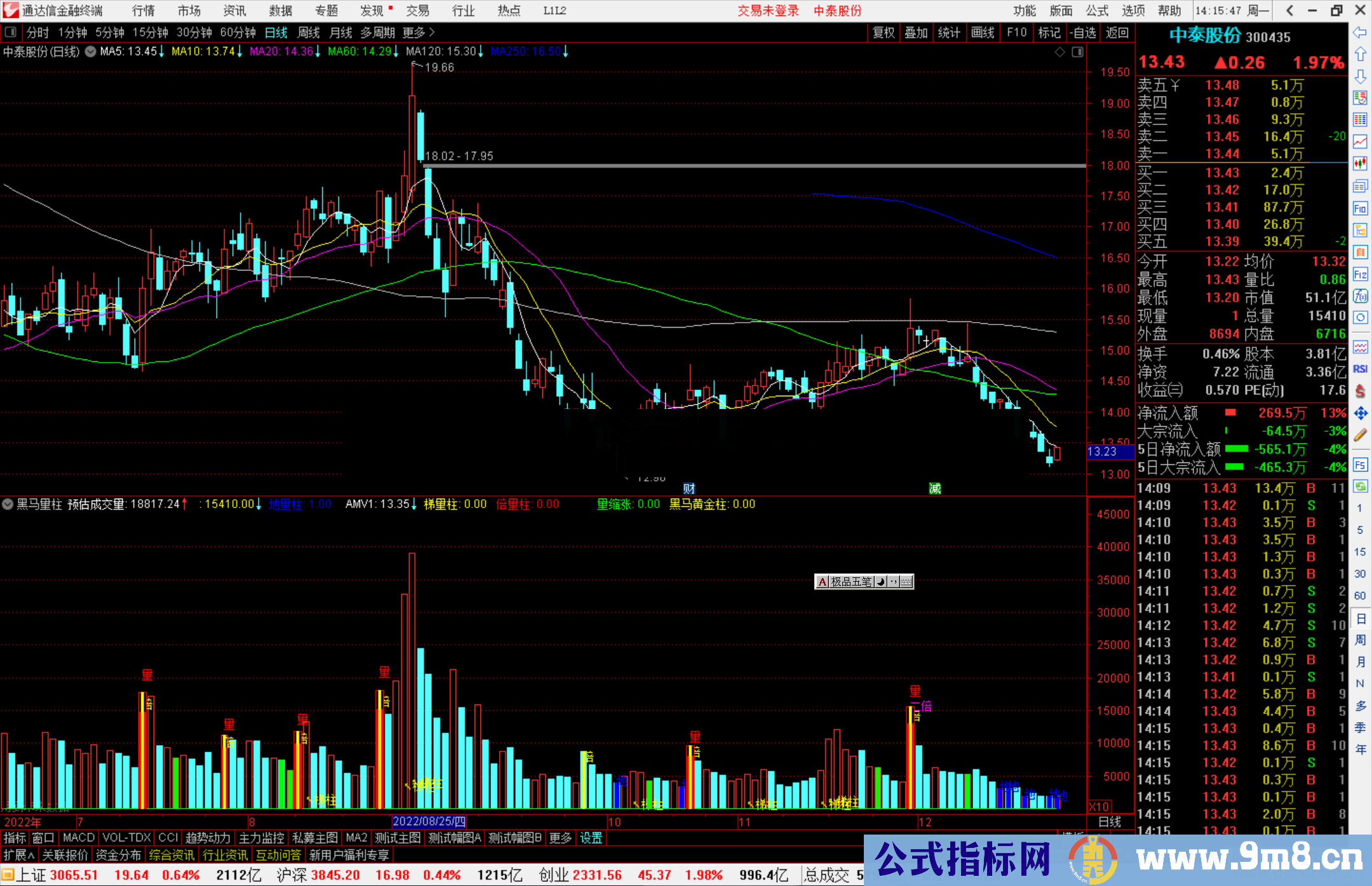 通达信黑马量柱指标公式源码副图