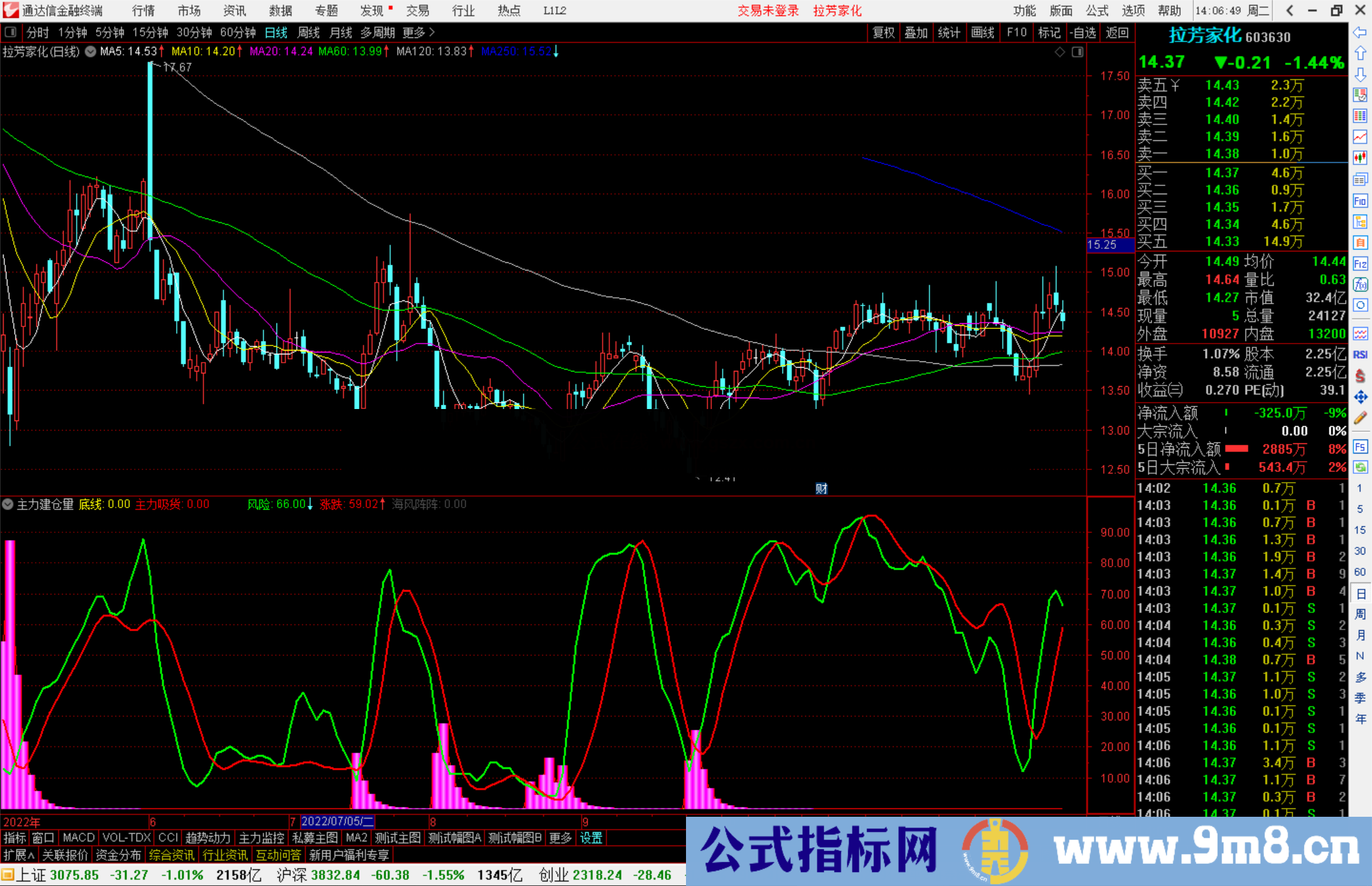 通达信主力建仓指标,监控主力吃货