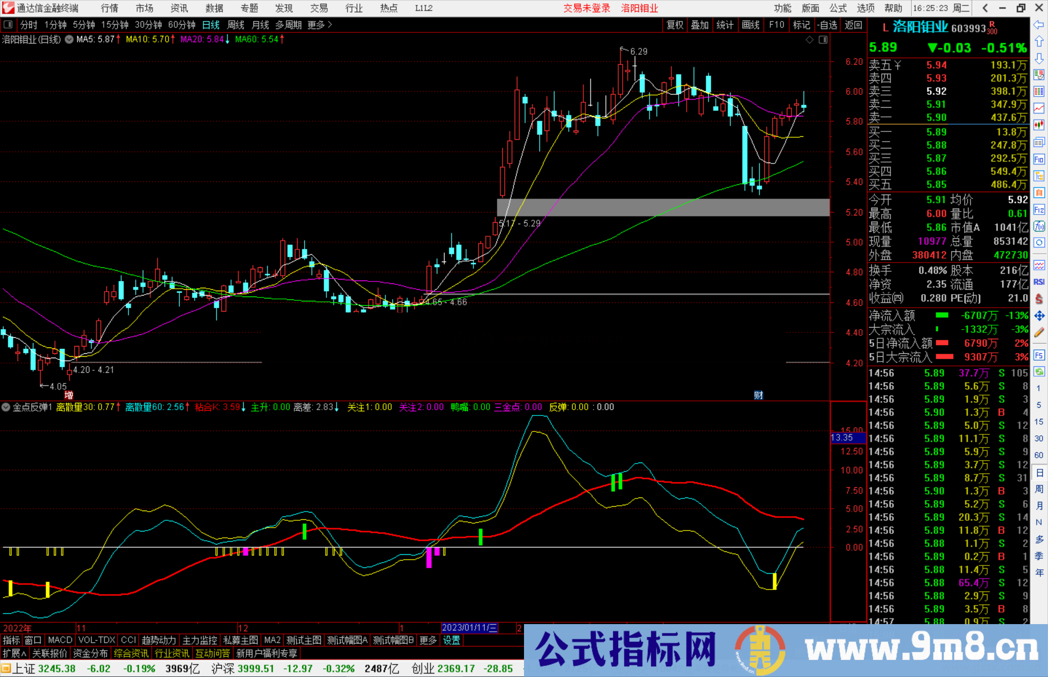 通达信金点反弹，离散量上穿零轴 出现紫色 可以建仓源码