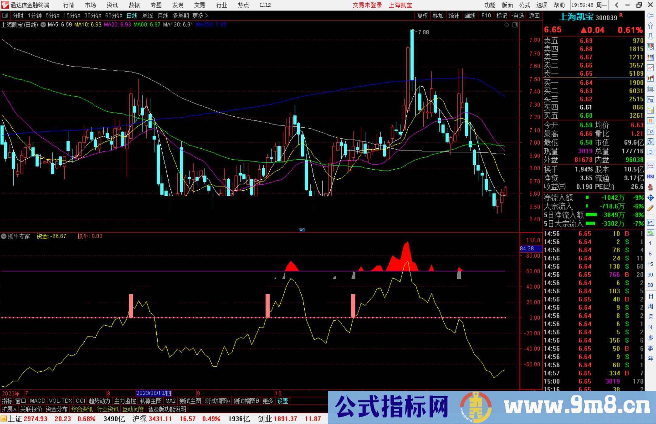 通达信抓牛专家指标公式源码副图