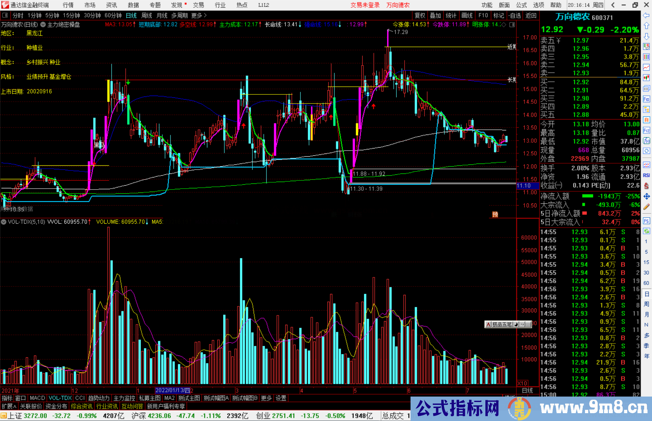 通达信主力绝密操盘系统主图指标 揭示主力运行规律源码