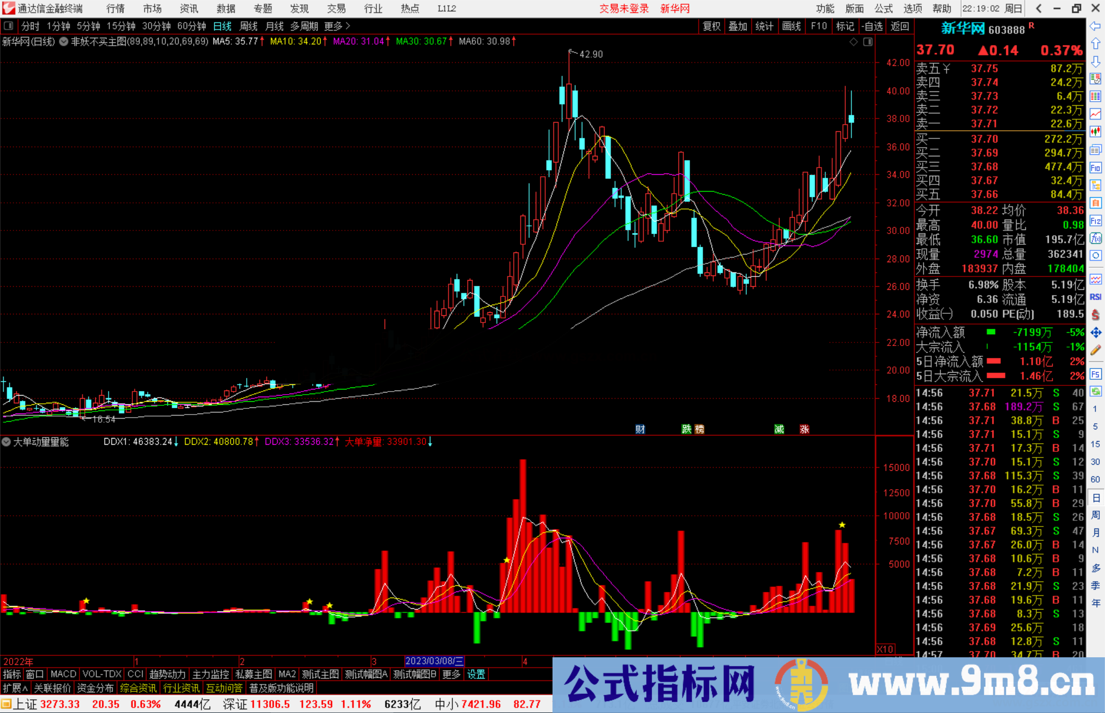 通达信大单动量量能指标公式重点关注低位金叉源码